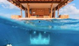 一线吃瓜海底见月免费,免费体验月夜奇观